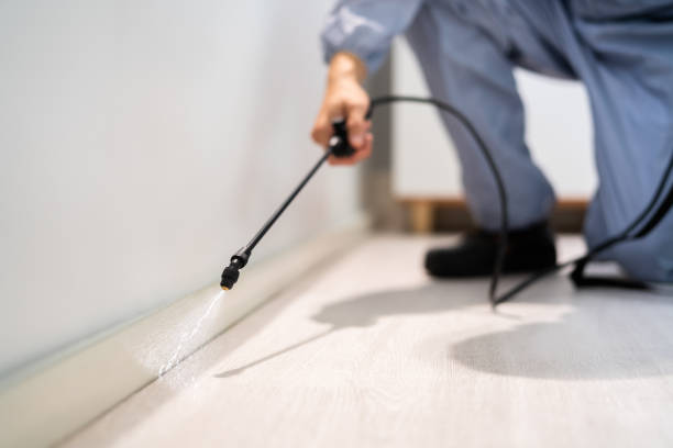 Bed Bug Pre-Treatment Preparation Assessment in Minster