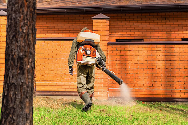Bed Bug Clearance Verification and Documentation in Minster